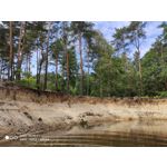 Zdjęcia użytkowników Xiaomi Mi 9T Zdjęcia użytkowników Xiaomi Mi 9T