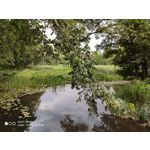 Zdjęcia użytkowników Xiaomi Mi 9T Zdjęcia użytkowników Xiaomi Mi 9T