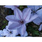 Zdjęcia użytkowników Xiaomi Mi 9T Zdjęcia użytkowników Xiaomi Mi 9T