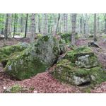 Zdjęcia użytkowników Xiaomi Mi 9T Zdjęcia użytkowników Xiaomi Mi 9T