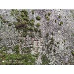 Zdjęcia użytkowników Xiaomi Mi 9T Zdjęcia użytkowników Xiaomi Mi 9T