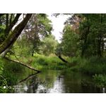 Zdjęcia użytkowników Xiaomi Mi 9T Zdjęcia użytkowników Xiaomi Mi 9T