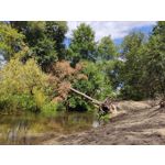 Zdjęcia użytkowników Xiaomi Mi 9T Zdjęcia użytkowników Xiaomi Mi 9T