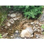 Zdjęcia użytkowników Xiaomi Mi 9T Zdjęcia użytkowników Xiaomi Mi 9T