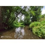 Zdjęcia użytkowników Xiaomi Mi 9T Zdjęcia użytkowników Xiaomi Mi 9T