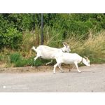 Zdjęcia użytkowników Xiaomi Mi 9T Zdjęcia użytkowników Xiaomi Mi 9T