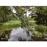 Zdjęcia użytkowników Xiaomi Mi 9T Zdjęcia użytkowników Xiaomi Mi 9T