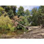 Zdjęcia użytkowników Xiaomi Mi 9T Zdjęcia użytkowników Xiaomi Mi 9T