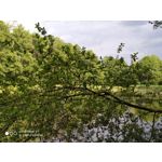 Zdjęcia użytkowników Xiaomi Mi 9T Zdjęcia użytkowników Xiaomi Mi 9T