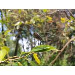 Zdjęcia użytkowników Xiaomi Mi 9T Zdjęcia użytkowników Xiaomi Mi 9T