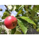 Zdjęcia użytkowników Xiaomi Mi 9T Zdjęcia użytkowników Xiaomi Mi 9T