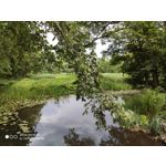 Zdjęcia użytkowników Xiaomi Mi 9T Zdjęcia użytkowników Xiaomi Mi 9T