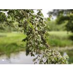 Zdjęcia użytkowników Xiaomi Mi 9T Zdjęcia użytkowników Xiaomi Mi 9T