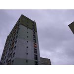 Zdjęcia użytkowników Xiaomi Mi A1