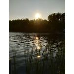 Zdjęcia użytkowników Xiaomi Mi A2 Lite