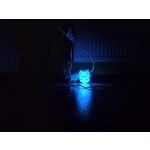 Zdjęcia użytkowników Xiaomi Mi A3