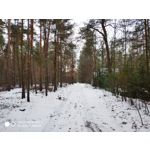 Zdjęcia użytkowników Xiaomi Mi Mix 3