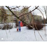 Zdjęcia użytkowników Xiaomi Mi Mix 3