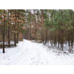 Zdjęcia użytkowników Xiaomi Mi Mix 3