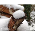 Zdjęcia użytkowników Xiaomi Mi Mix 3