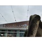 Zdjęcia użytkowników Xiaomi Mi Mix 3