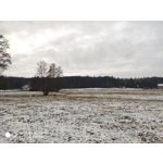 Zdjęcia użytkowników Xiaomi Mi Mix 3