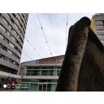 Zdjęcia użytkowników Xiaomi Mi Mix 3