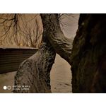 Zdjęcia użytkowników Xiaomi Mi Mix 3