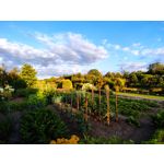 Zdjęcia użytkowników Xiaomi Mi Note 10 Lite