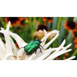 ZDJĘCIA Z TEGO TELEFONU