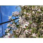 ZDJĘCIA Z TEGO TELEFONU