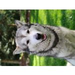 ZDJĘCIA Z TEGO TELEFONU