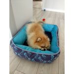 Zdjęcia użytkowników Xiaomi Mi Note 2