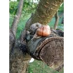 Zdjęcia użytkowników Xiaomi Mi Note 2