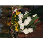 Zdjęcia użytkowników Xiaomi Mi Note 3