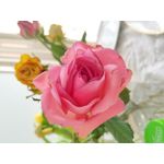 Zdjęcia użytkowników Xiaomi Mi 6