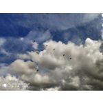 Zdjęcia użytkowników Xiaomi Mi MIX 2S