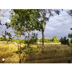 Zdjęcia użytkowników Xiaomi Mi MIX 2S