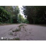 Zdjęcia użytkowników Xiaomi Mi MIX 2S