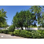 Zdjęcia użytkowników Xiaomi Mi MIX 2S