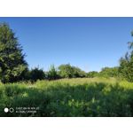 Zdjęcia użytkowników Xiaomi Mi MIX 2S