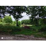 Zdjęcia użytkowników Xiaomi Mi MIX 2S