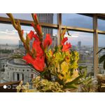 Zdjęcia użytkowników Xiaomi Mi MIX 2S