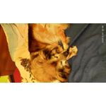 ZDJĘCIA Z TEGO TELEFONU