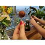 Zdjęcia użytkowników Xiaomi Mi MIX 2S