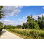 Zdjęcia użytkowników Xiaomi Mi MIX 2S