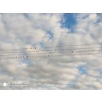 Zdjęcia użytkowników Xiaomi Mi MIX 2S