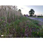 Zdjęcia użytkowników Xiaomi Mi MIX 2S