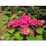 Zdjęcia użytkowników Xiaomi Mi MIX 2S