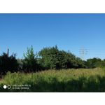 Zdjęcia użytkowników Xiaomi Mi MIX 2S